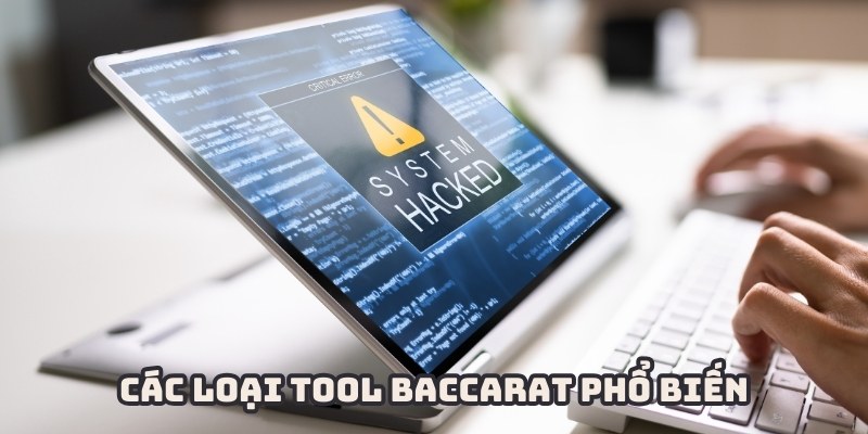 Đa dạng các công cụ chất lượng cao để lựa chọn khi tìm kiếm tool Baccarat là gì?