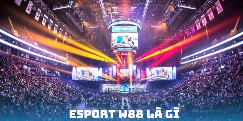 Vài thông tin về sảnh Esport W88